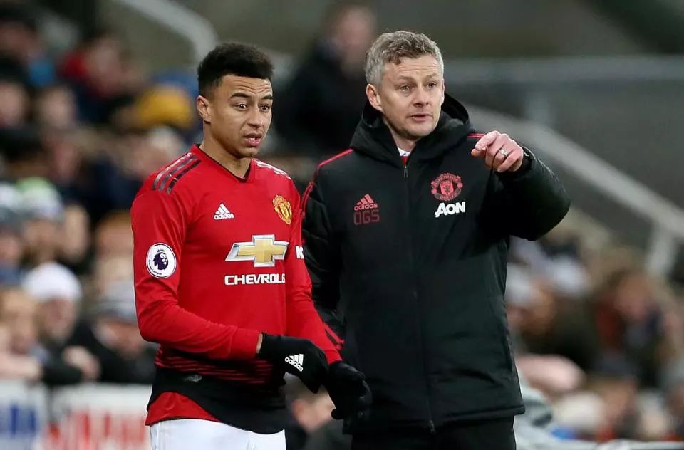 的世界里 的世界里